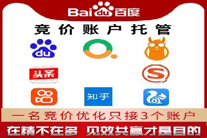 探索百度SEM竞价推广的奥秘：某行业巨头的成功经验